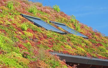 Rook End living roof systems